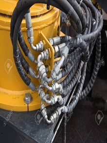 lorem ippsum dolor dummy