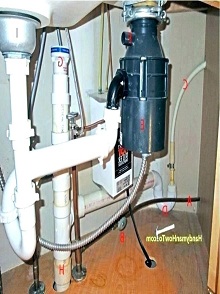 lorem ippsum dolor dummy