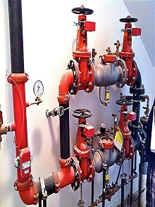 lorem ippsum dolor dummy