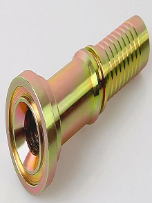 lorem ippsum dolor dummy